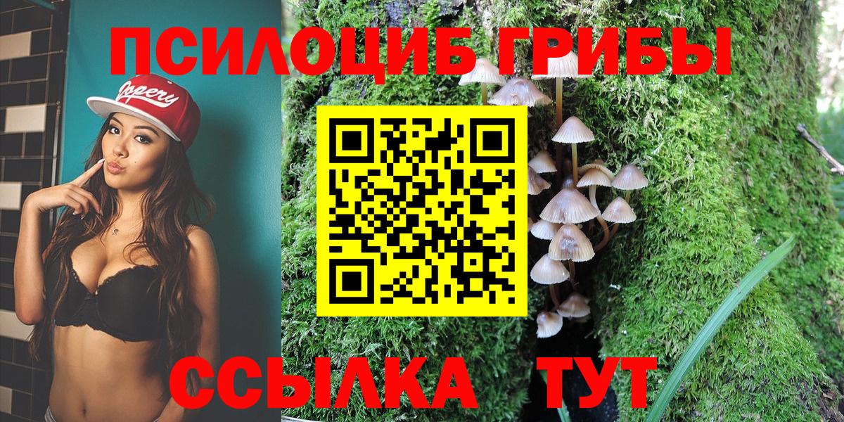 Псилоцибиновые грибы MAGIC MUSHROOMS Сертолово